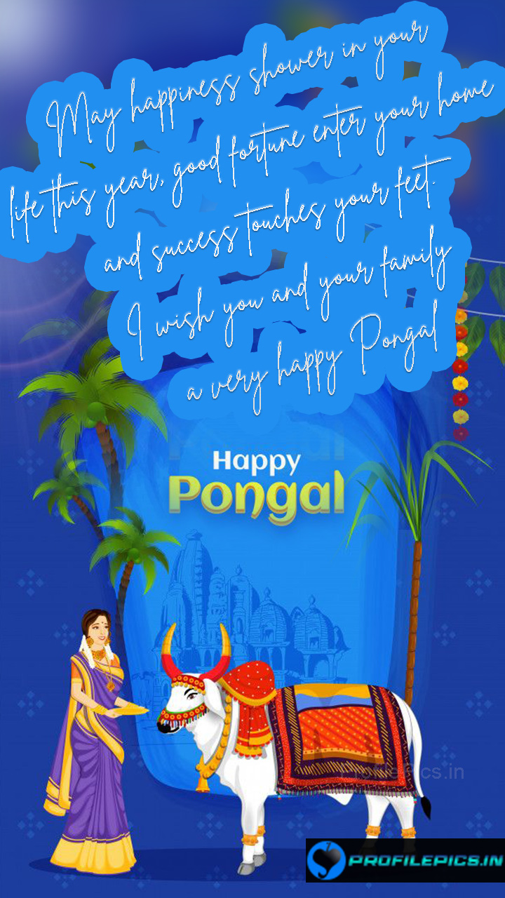 Happy Pongal Status