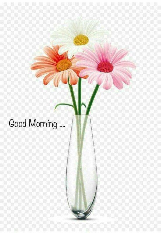 good morning flowers pictures for whatsapp