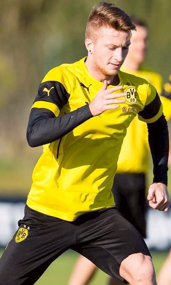 Buy Marco Reus A4 Handsigned Photo Frame W COA Online in India  Etsy