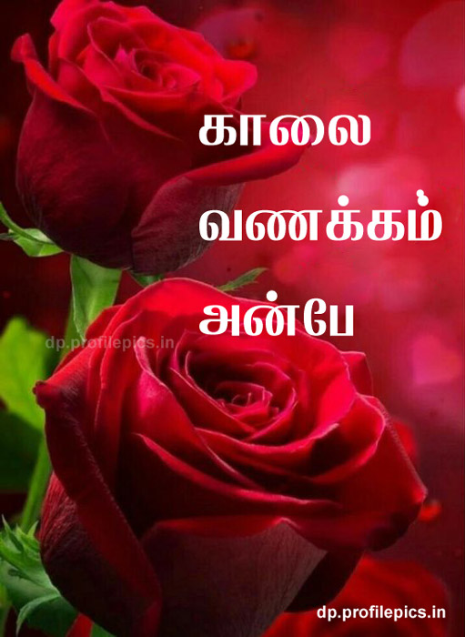good morning images in tamil