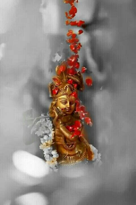 Krishna Dp - Lord Krishna Images For Whatsapp, Facebook