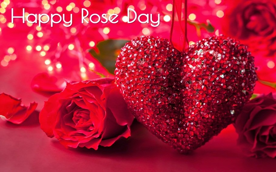 rose day profile pics