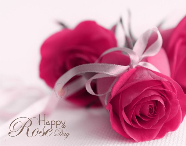 rose day profile pics