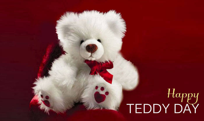 teddy day profile pics